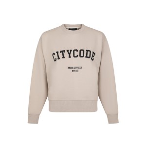 Bluza klasyczna z printem College Serie zimny beż